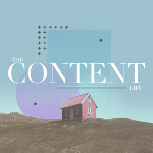 The Content Life:Week One-11/03/2019