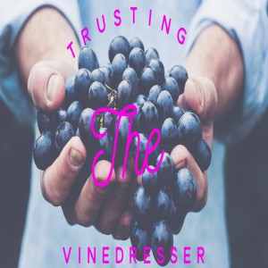 Trusting The Vinedresser-Pastor Aaron Wilson-July 17, 2022
