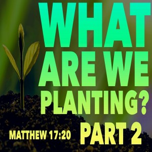 What Are We Planting? (Part 2)