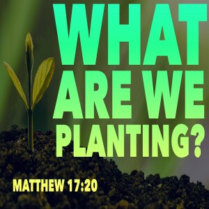 What Are We Planting? (Part 1)