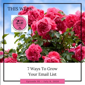 7 Ways To Grow Your Email List