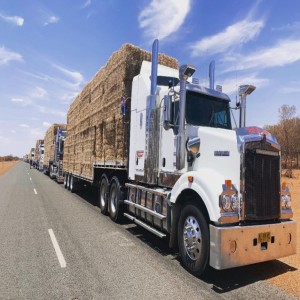 Telltale Signs that Indicate Your Trailer Has Gone Bad & Needs Professional Maintenance