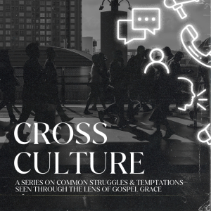 CBS: Cross Culture - Distractions