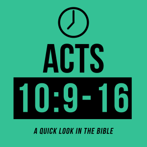 Acts 10:9-16 - Peter's Vision