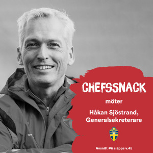 6. Håkan Sjöstrand, Generalsekreterare Svenska Fotbollförbundet - original