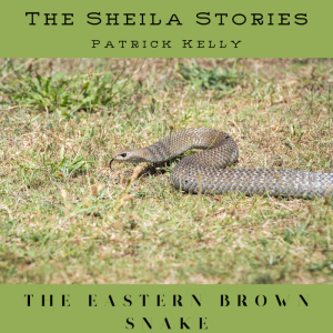 Sheila Stories #003 -- The Eastern Brown Snake -- with Storyteller Pat Kelly