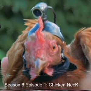 Season 8 Episode 1: Chicken NecK