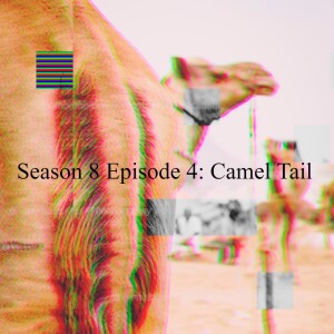 Season 8 Episode 4: Camel Tail !