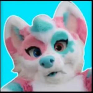 South Afrifur Pawdcast - Quartz Husky