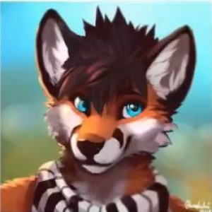 South Afrifur Pawdcast - Interview with Fox Amoore