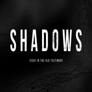 4/12/20 Shadows: Light By Bobby Wallace