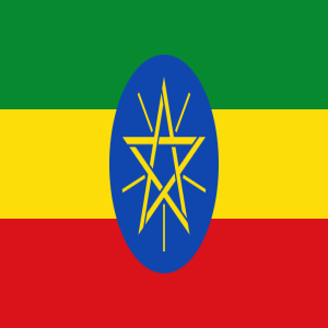 Closing Words — Ethnic Conflict In Ethiopia, Episode 11