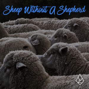 Sheep Without A Shepherd