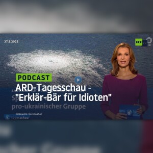 ARD-Tagesschau ‒ ”Erklär-Bär für Idioten”