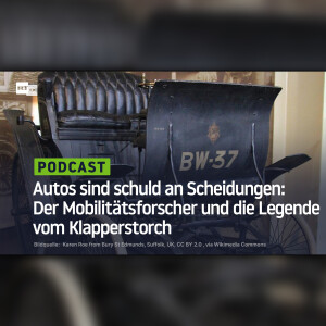 Autos sind schuld an Scheidungen: Der Mobilitätsforscher und die Legende vom Klapperstorch