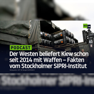 Der Westen beliefert Kiew schon seit 2014 mit Waffen – Fakten vom Stockholmer SIPRI-Institut