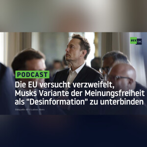 Die EU versucht verzweifelt, Musks Variante der Meinungsfreiheit als ”Desinformation” zu unterbinden