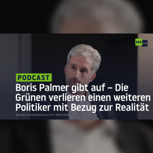 Boris Palmer gibt auf – Die Grünen verlieren einen weiteren Politiker mit Bezug zur Realität