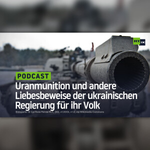 Uranmunition und andere Liebesbeweise der ukrainischen Regierung für ihr Volk