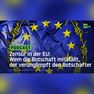 Zensur in der EU: Wem die Botschaft missfällt, der verunglimpft den Botschafter
