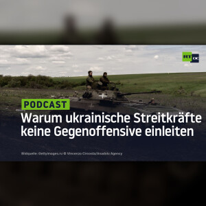 ”Der wichtigsten Trumpfkarte beraubt”: Warum ukrainische Streitkräfte keine Gegenoffensive einleiten