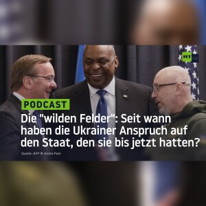Die ”wilden Felder”: Seit wann haben die Ukrainer Anspruch auf den Staat, den sie bis jetzt hatten?