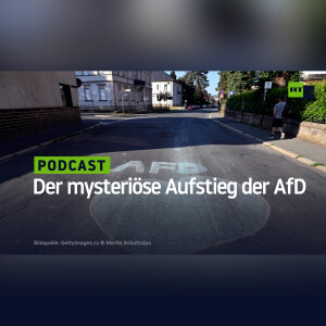 Der mysteriöse Aufstieg der AfD