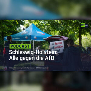 Schleswig-Holstein: Alle gegen die AfD