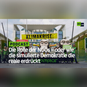 Die Rolle der NGOs – oder wie die simulierte Demokratie die reale erdrückt
