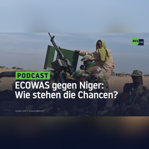 ECOWAS gegen Niger: Wie stehen die Chancen?