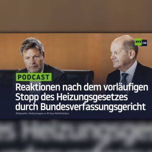 Reaktionen nach dem vorläufigen Stopp des Heizungsgesetzes durch das Bundesverfassungsgericht