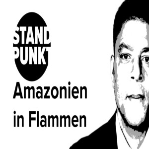 Amazonien in Flammen: Bundesregierung und Macron spielen Oberlehrer