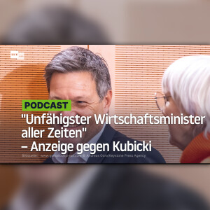 "Unfähigster Wirtschaftsminister aller Zeiten" – Anzeige gegen Kubicki