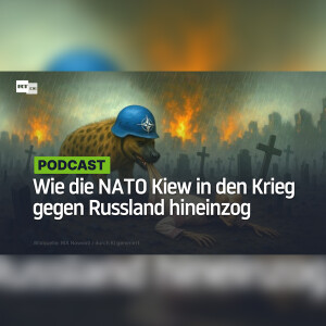 Bis zum letzten Ukrainer: Wie die NATO Kiew in den Krieg gegen Russland hineingezogen hat