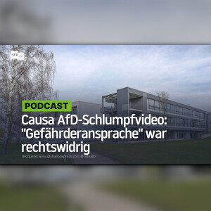 Causa AfD-Schlumpfvideo: "Gefährderansprache" einer 16-Jährigen in der Schule war rechtswidrig
