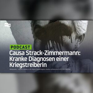 Causa Strack-Zimmermann: Kranke Diagnosen einer Kriegstreiberin