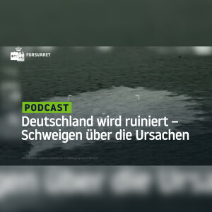 Deutschland wird ruiniert – Aber es herrscht Schweigen über die Ursachen