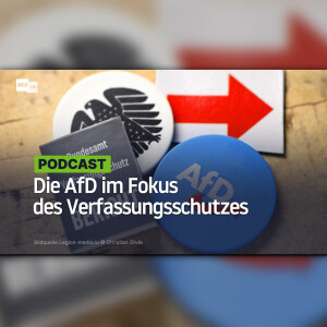 Die AfD im Fokus des Verfassungsschutzes