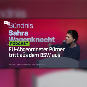 EU-Abgeordneter Pürner tritt aus dem BSW aus
