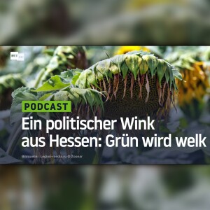Ein politischer Wink aus Hessen: Grün wird welk