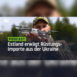 Estland erwägt Rüstungsimporte aus der Ukraine