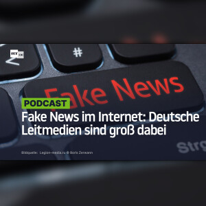 Fake News im Internet: Deutsche Leitmedien sind groß dabei