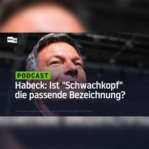 Habeck: Ist "Schwachkopf" die passende Bezeichnung?