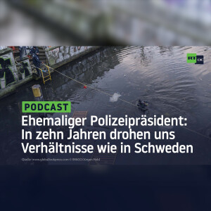 Ehemaliger Polizeipräsident: In zehn Jahren drohen uns Verhältnisse wie in Schweden