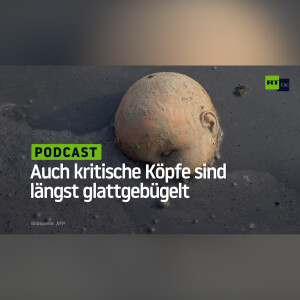 Auch kritische Köpfe sind längst glattgebügelt