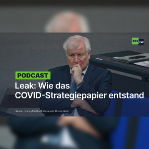 Leak: Vier Tage Angst – Wie das COVID-Strategiepapier entstand