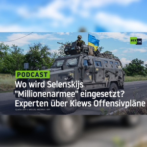 Wo wird Selenskijs ”Millionenarmee” eingesetzt? Experten über Kiews Offensivpläne in der Südukraine