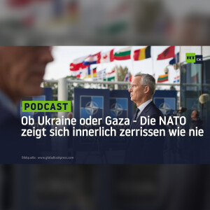 Ob Ukraine oder Gaza - Die NATO zeigt sich innerlich zerrissen wie nie