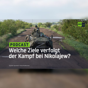 Offensive oder Ablenkungsmanöver – Welche Ziele verfolgt der Kampf bei Nikolajew?