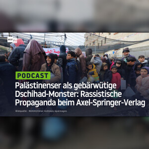 Palästinenser als gebärwütige Dschihad-Monster: Rassistische Propaganda beim Axel-Springer-Verlag